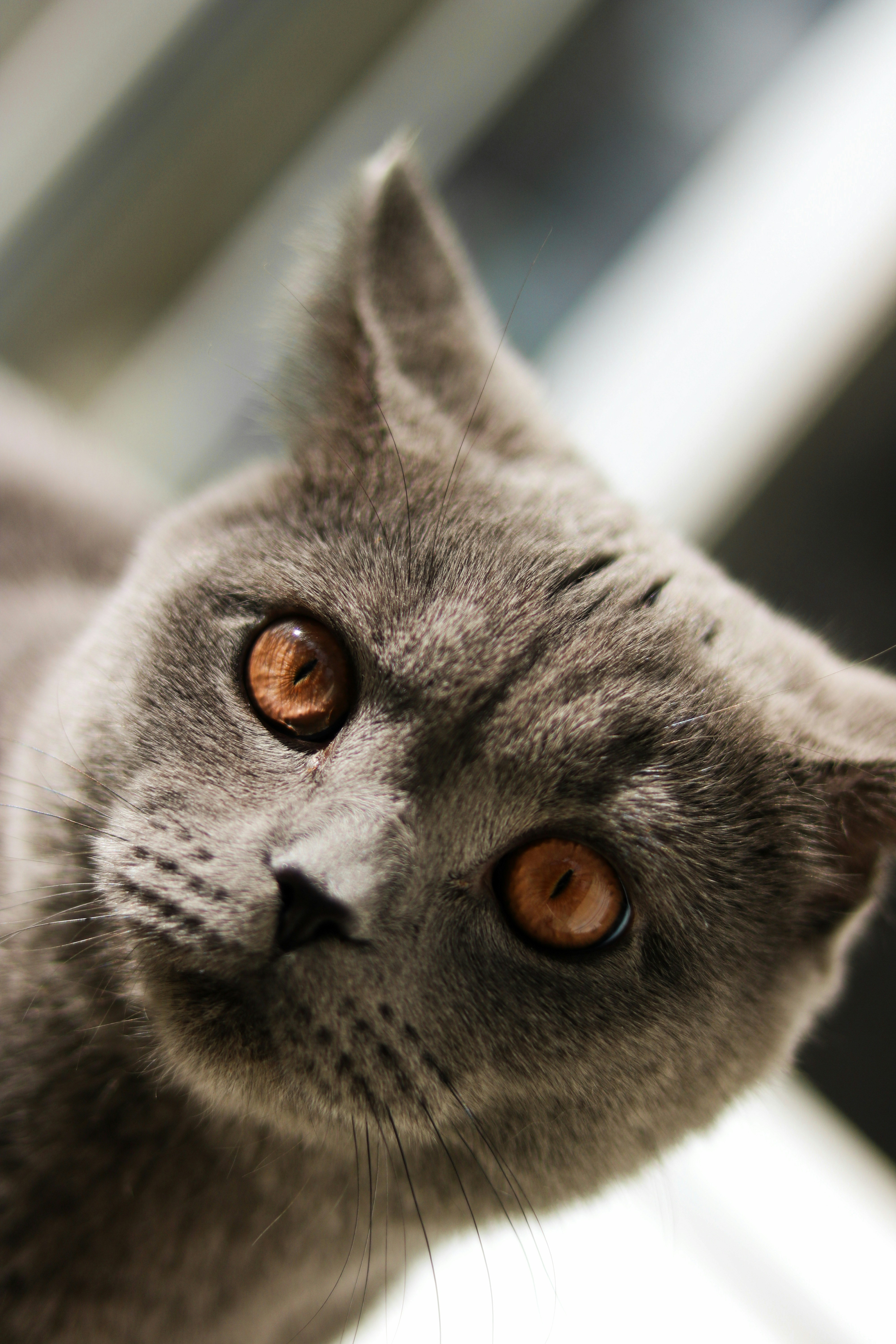 Photo by diemitdemuniontrikot