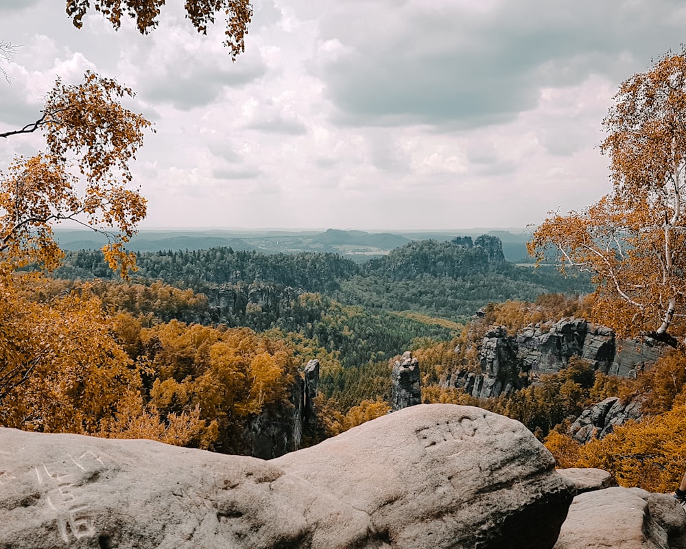 gray rock near green and yellow trees under white clouds during daytime