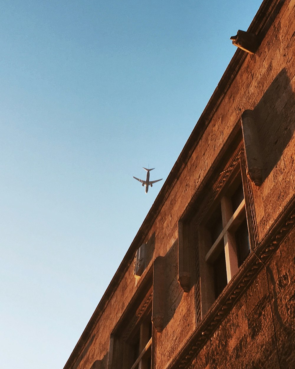 Pájaro negro volando sobre un edificio de hormigón marrón durante el día