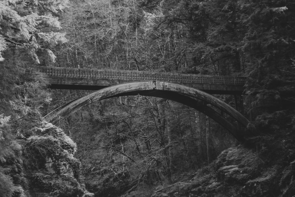 grayscale photo of bridge over river