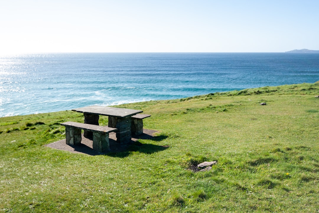 brown wooden bench on green grass field near body of water during daytime