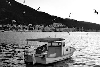 A small boat with a canopy is anchored on a calm body of water, featuring a Turkish flag at the stern. Seagulls are flying above and around the boat. In the background, a mountainous terrain is visible with a densely built town along the shoreline, dotting the landscape. Numerous sailboat masts rise along the marina, enhancing the coastal scenery.