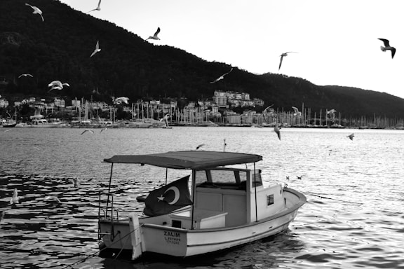 A small boat with a canopy is anchored on a calm body of water, featuring a Turkish flag at the stern. Seagulls are flying above and around the boat. In the background, a mountainous terrain is visible with a densely built town along the shoreline, dotting the landscape. Numerous sailboat masts rise along the marina, enhancing the coastal scenery.