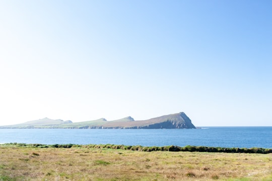 green grass field near body of water during daytime in County Kerry Ireland