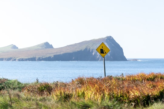 brown and white wooden signage near body of water during daytime in County Kerry Ireland
