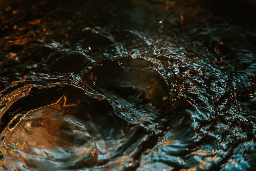 water droplets on brown leaf