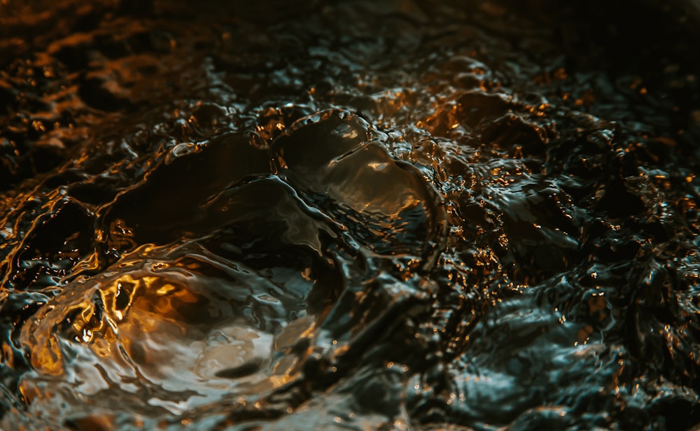 water drop in close up photography