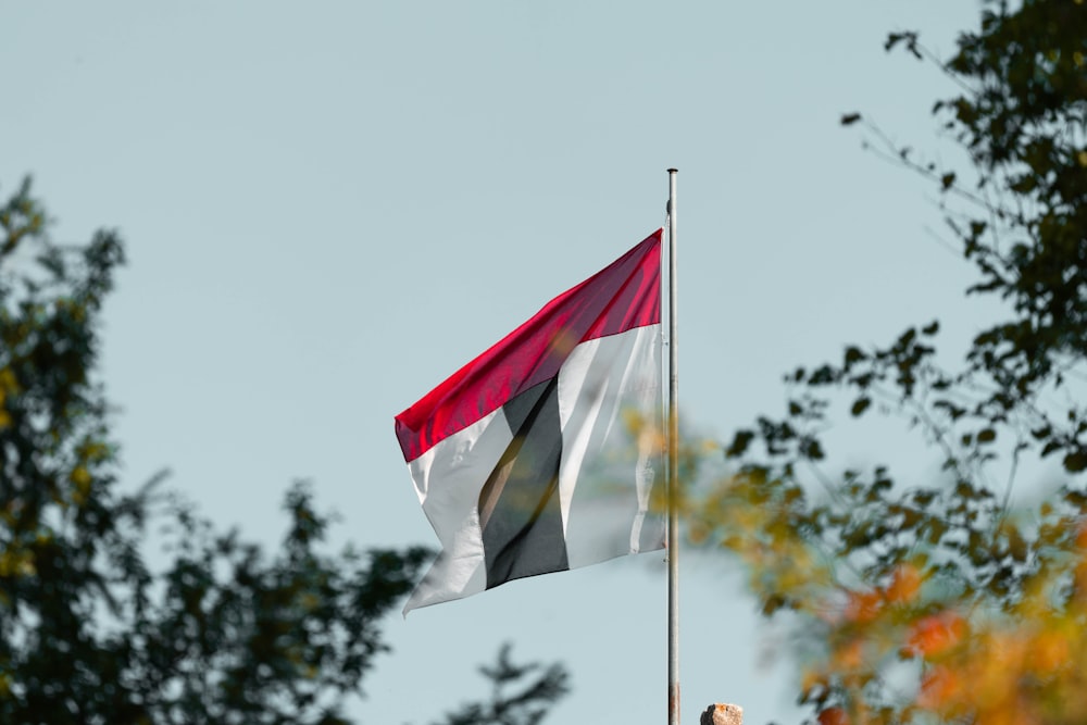 Bandera roja, blanca y negra