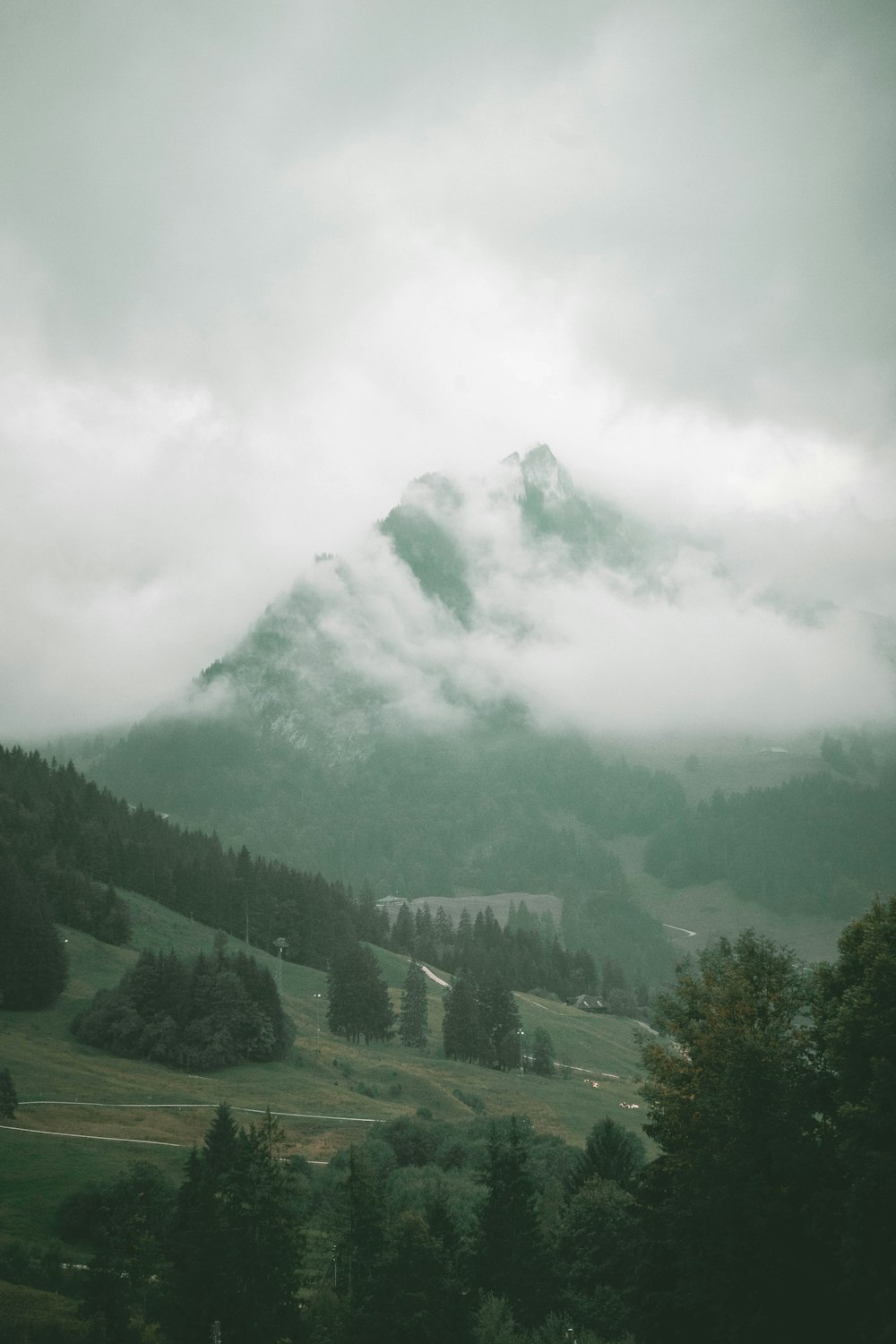 green trees on mountain under white clouds during daytime