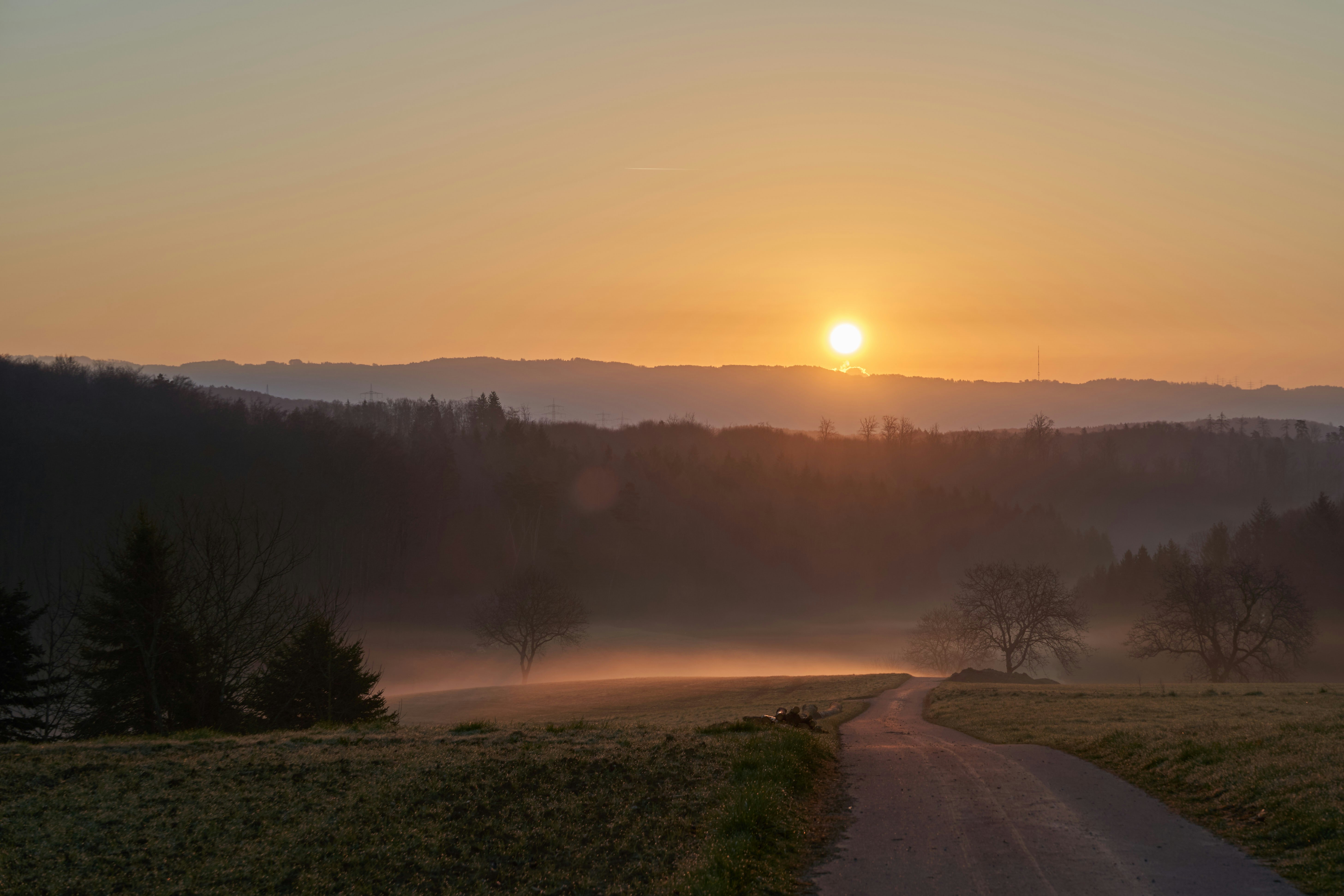 Photo by wolfgang_hasselmann