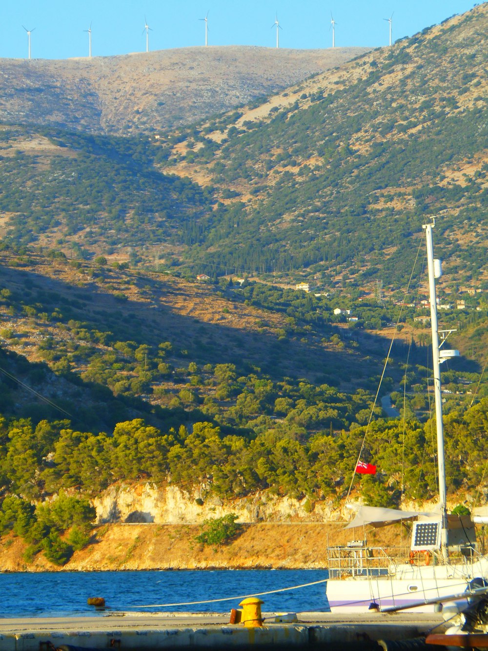 árvores verdes na montanha durante o dia