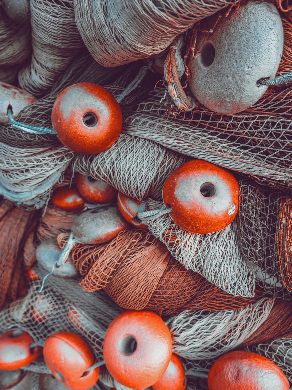 brown and gray round fruits