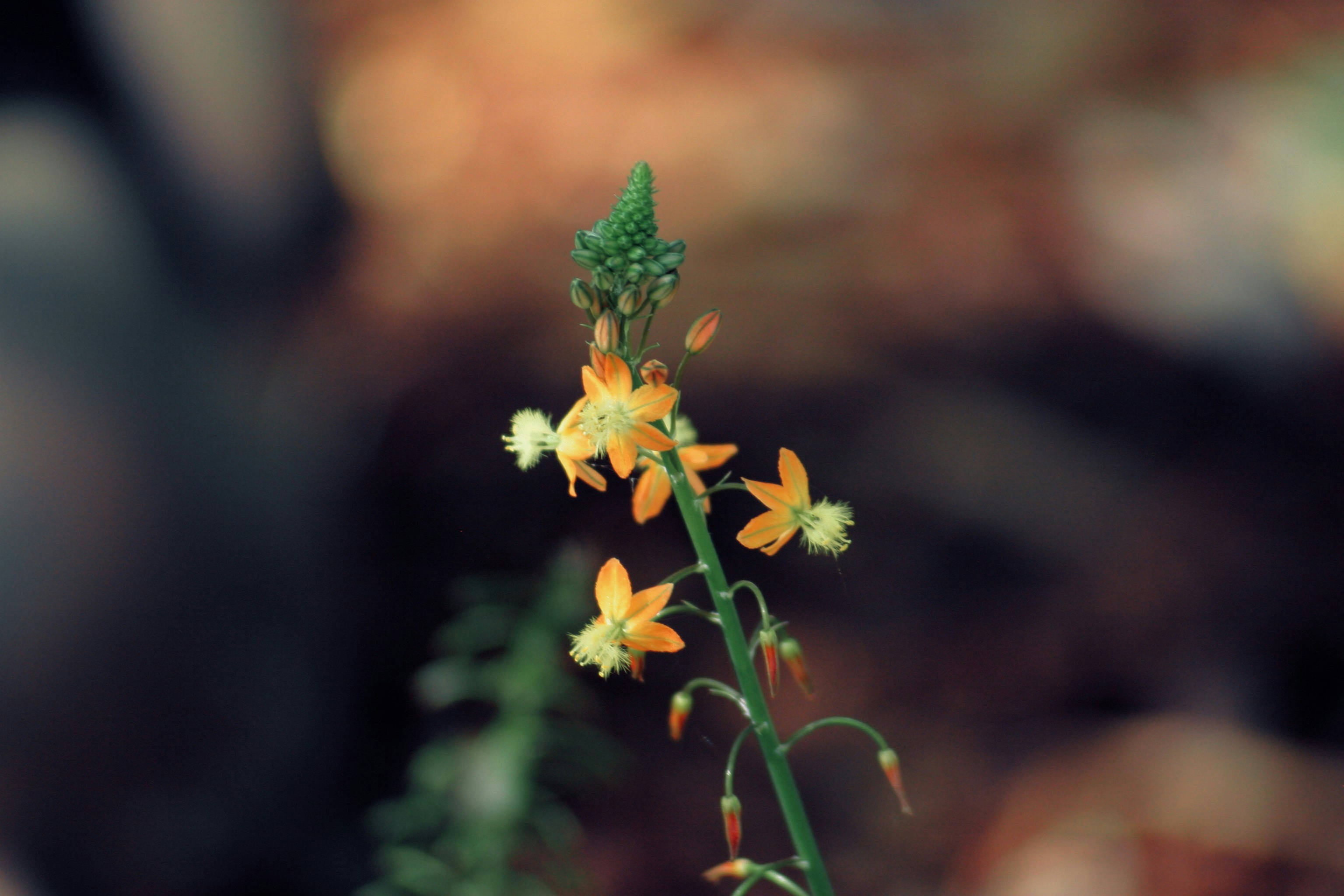 Photo by picsbyjameslee