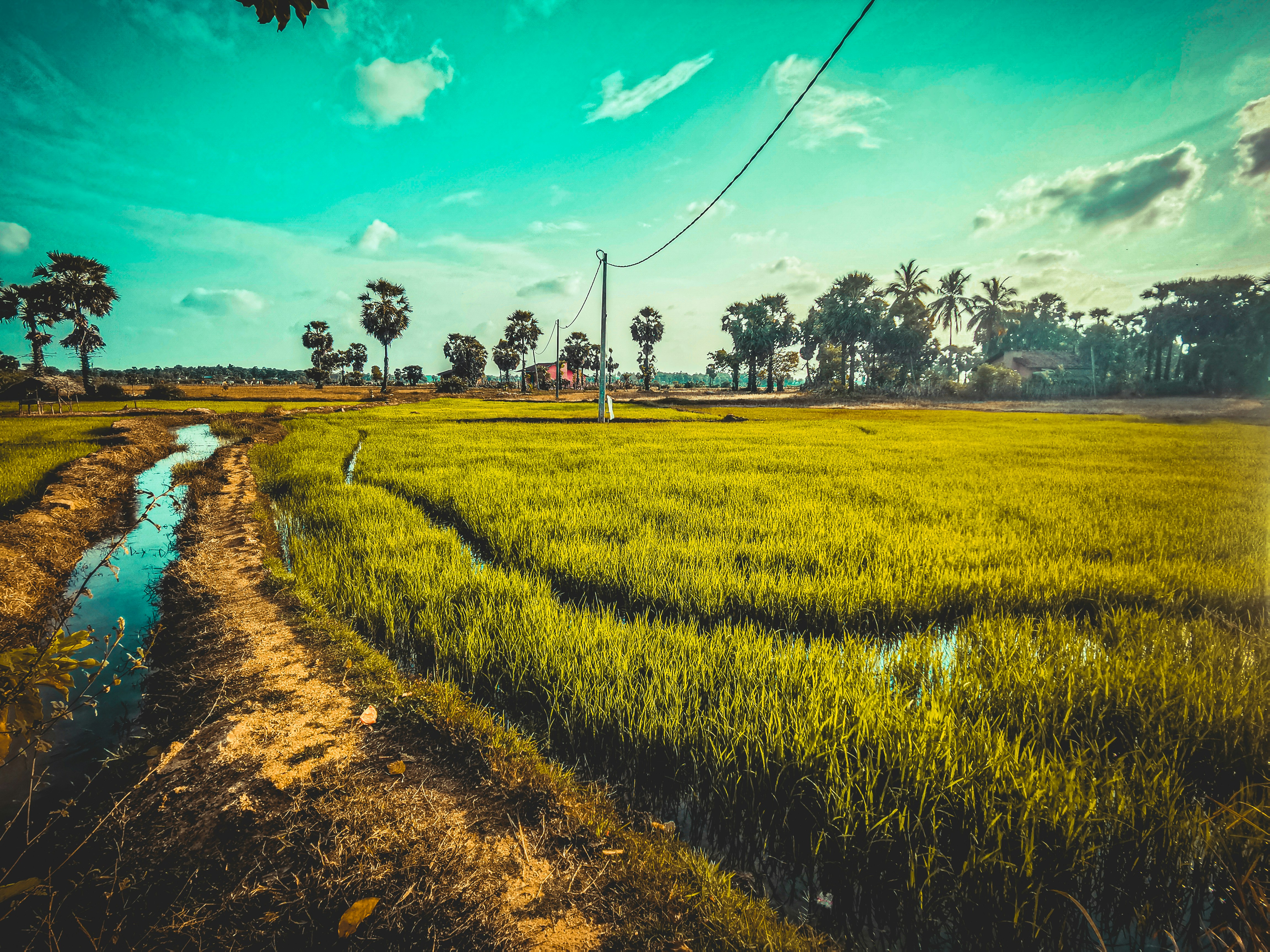 Photo by anbu_dot_ana