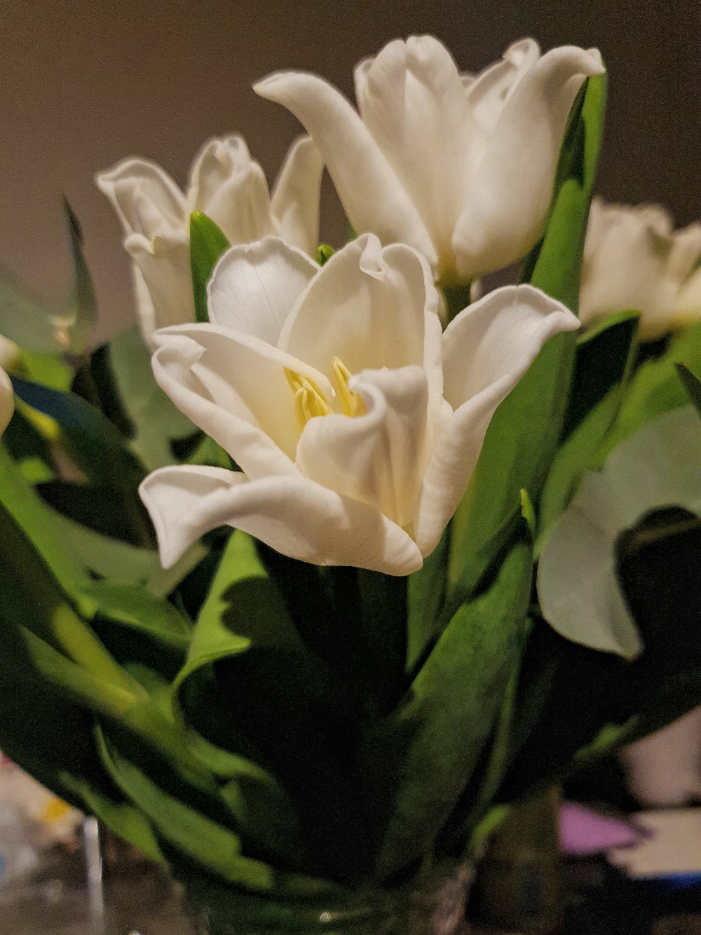 white flower in macro shot