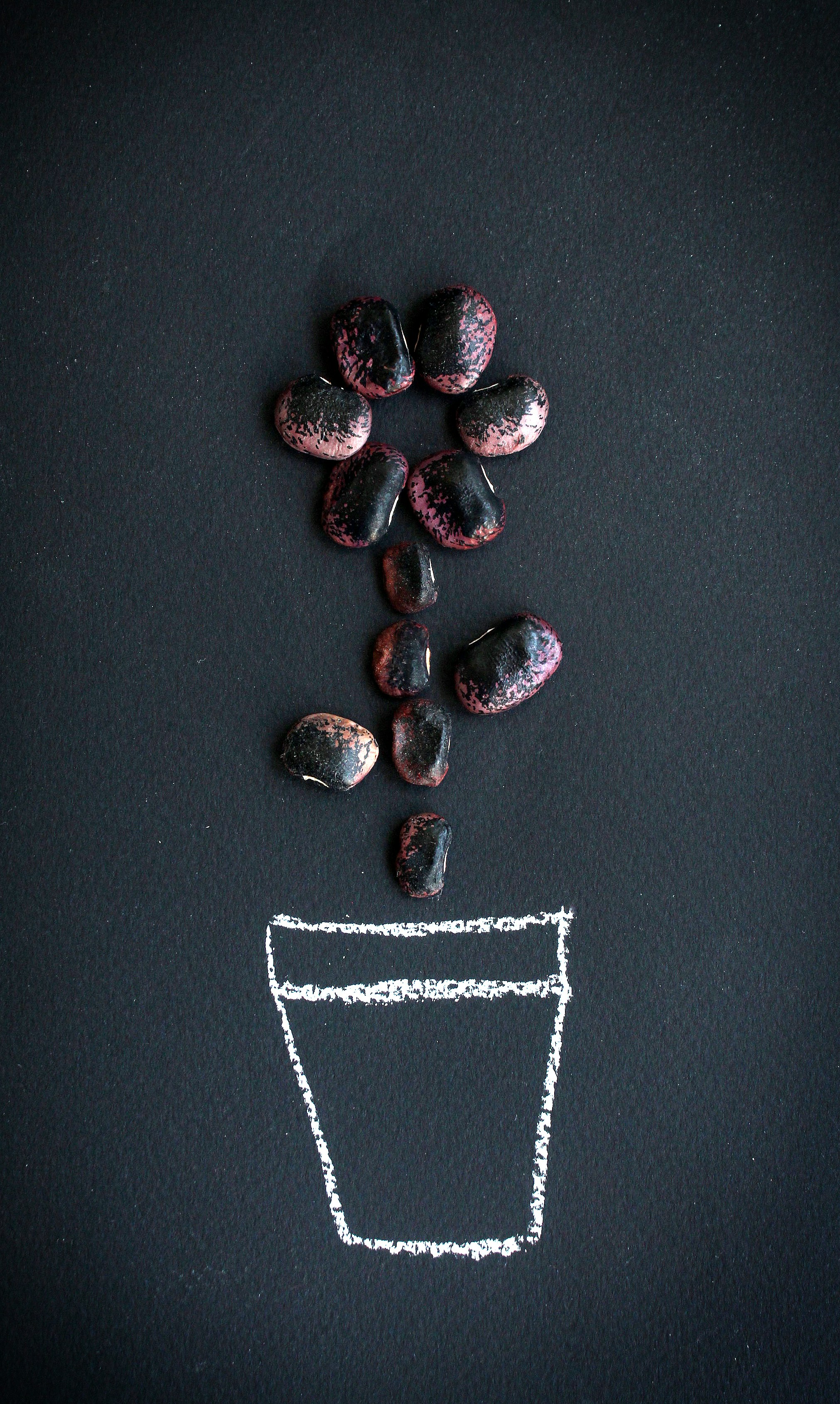 Bean Break