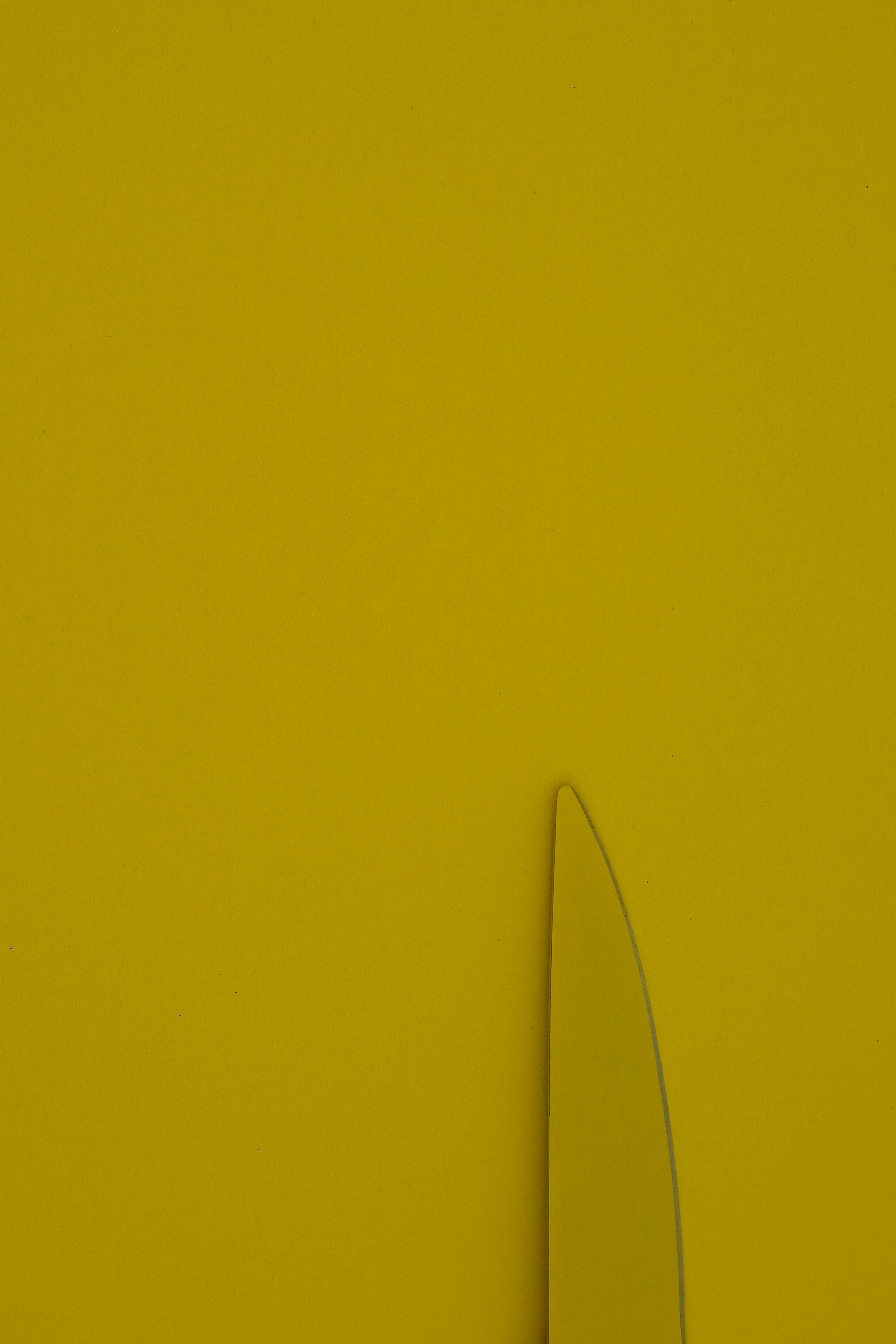 Photo by yogidan2012