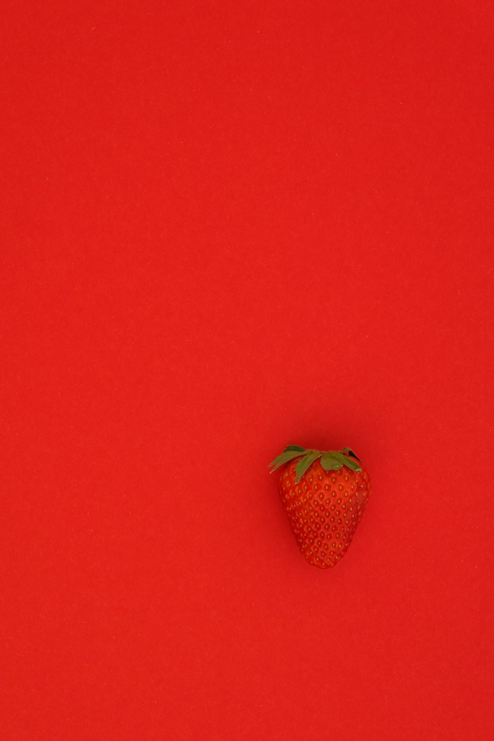 rote Erdbeerfrucht auf roter Oberfläche