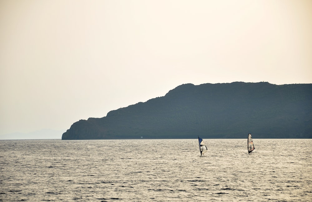 people on beach during daytime