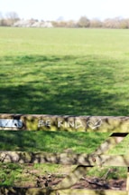A wooden fence in a green field with the phrase 'BE KIND' and a heart symbol drawn in white chalk on one of the horizontal beams. The field stretches out under a clear blue sky, with trees lining the horizon in the background.