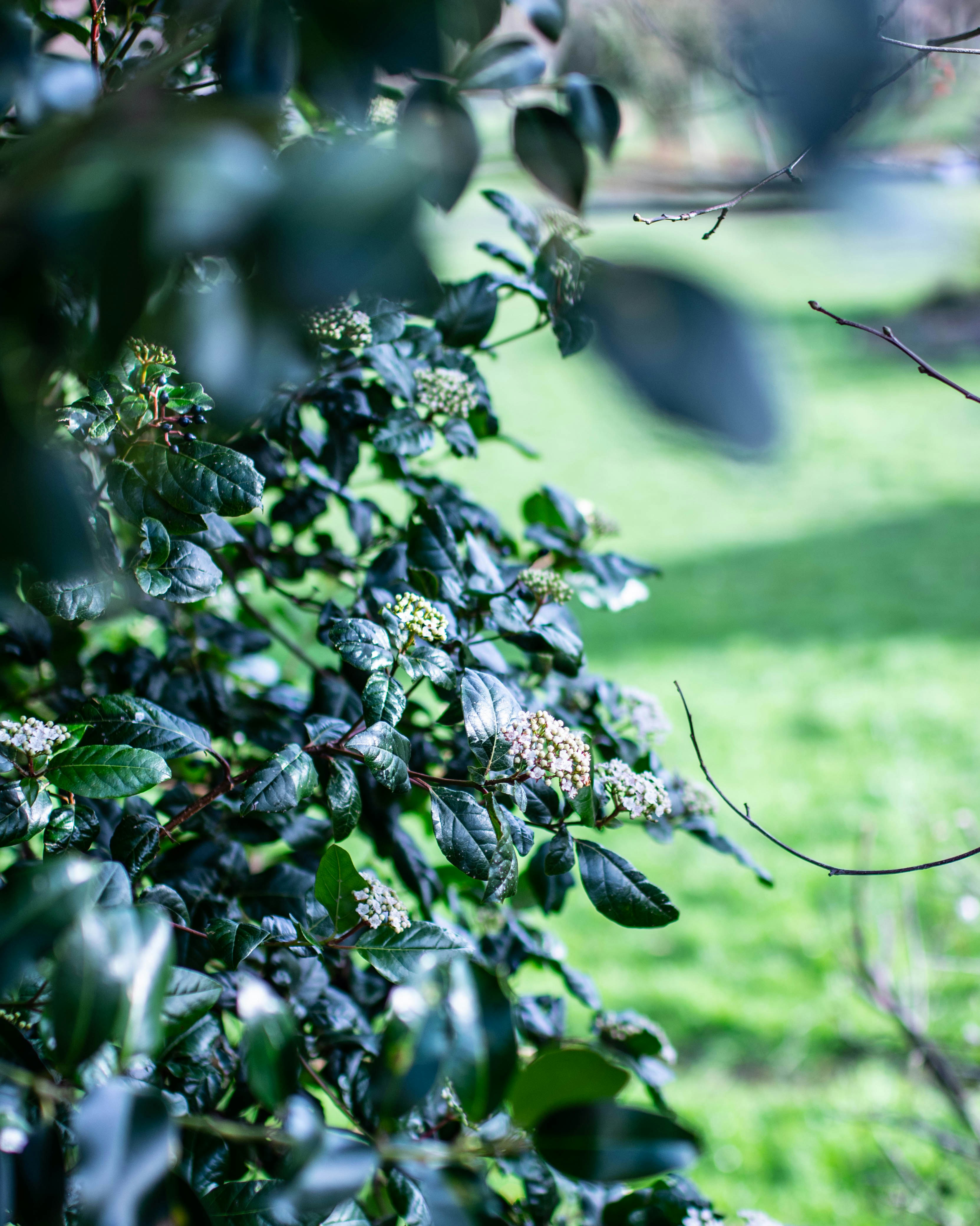 Photo by mihaicostache