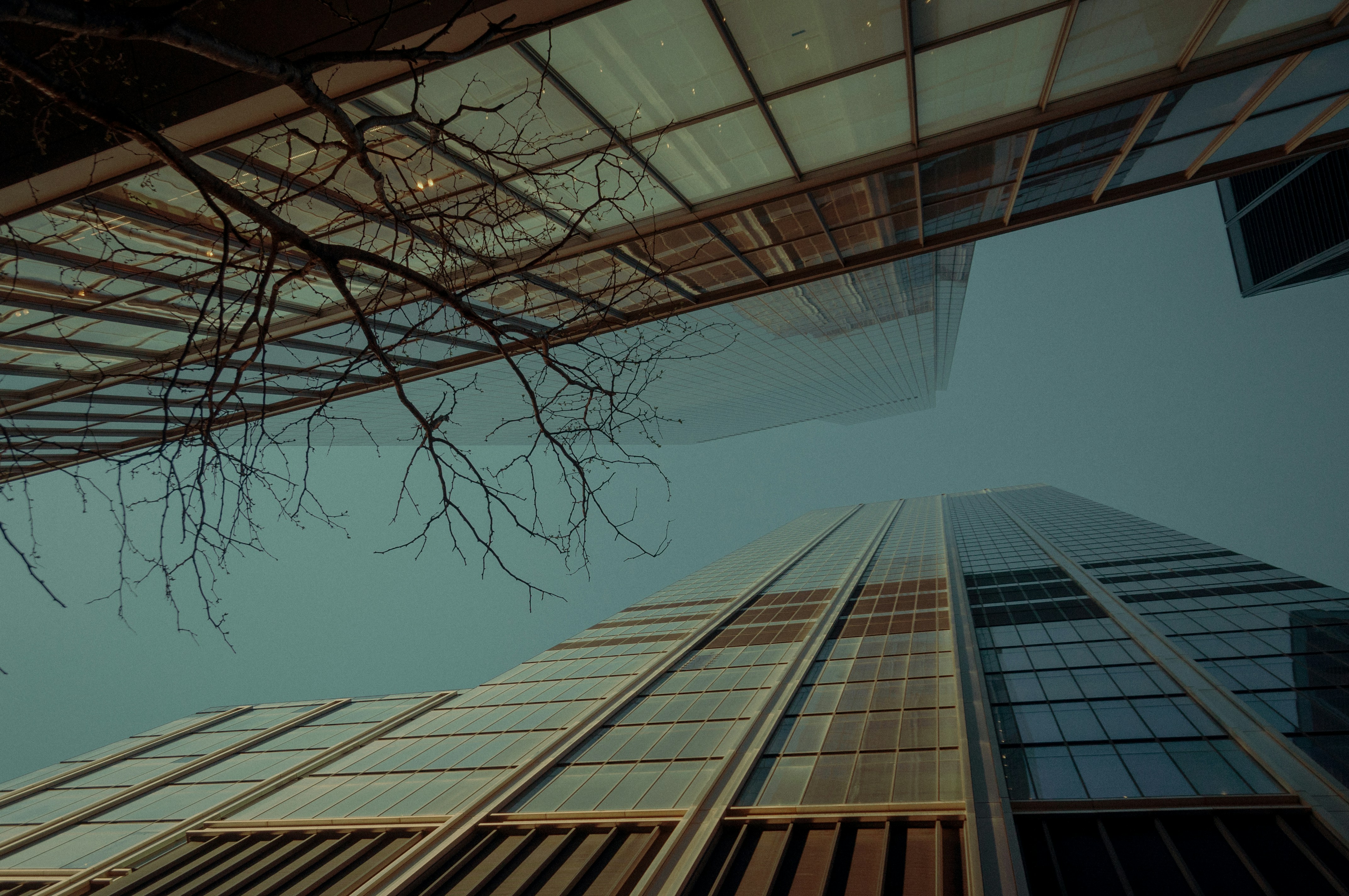 Photo by matteomiliddi