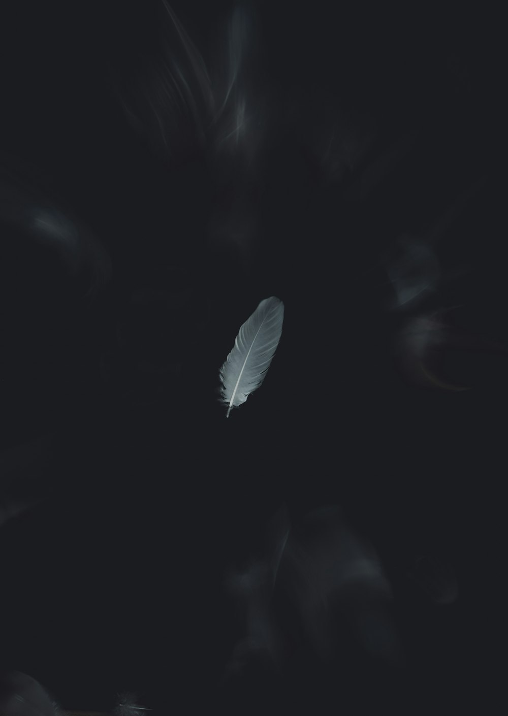a white feather floating in the dark
