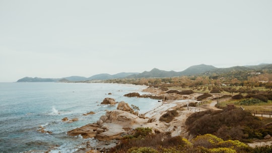 brown rock formation on sea shore during daytime in Costa Rei Italy