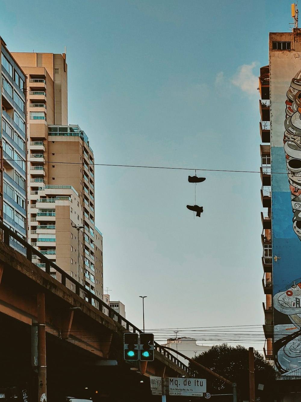 black bird flying over the building during daytime