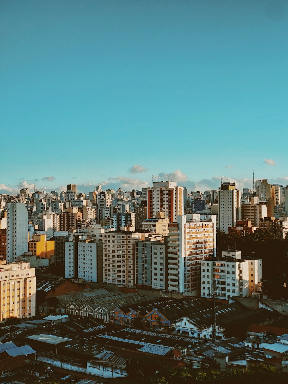 city skyline under blue sky during daytime