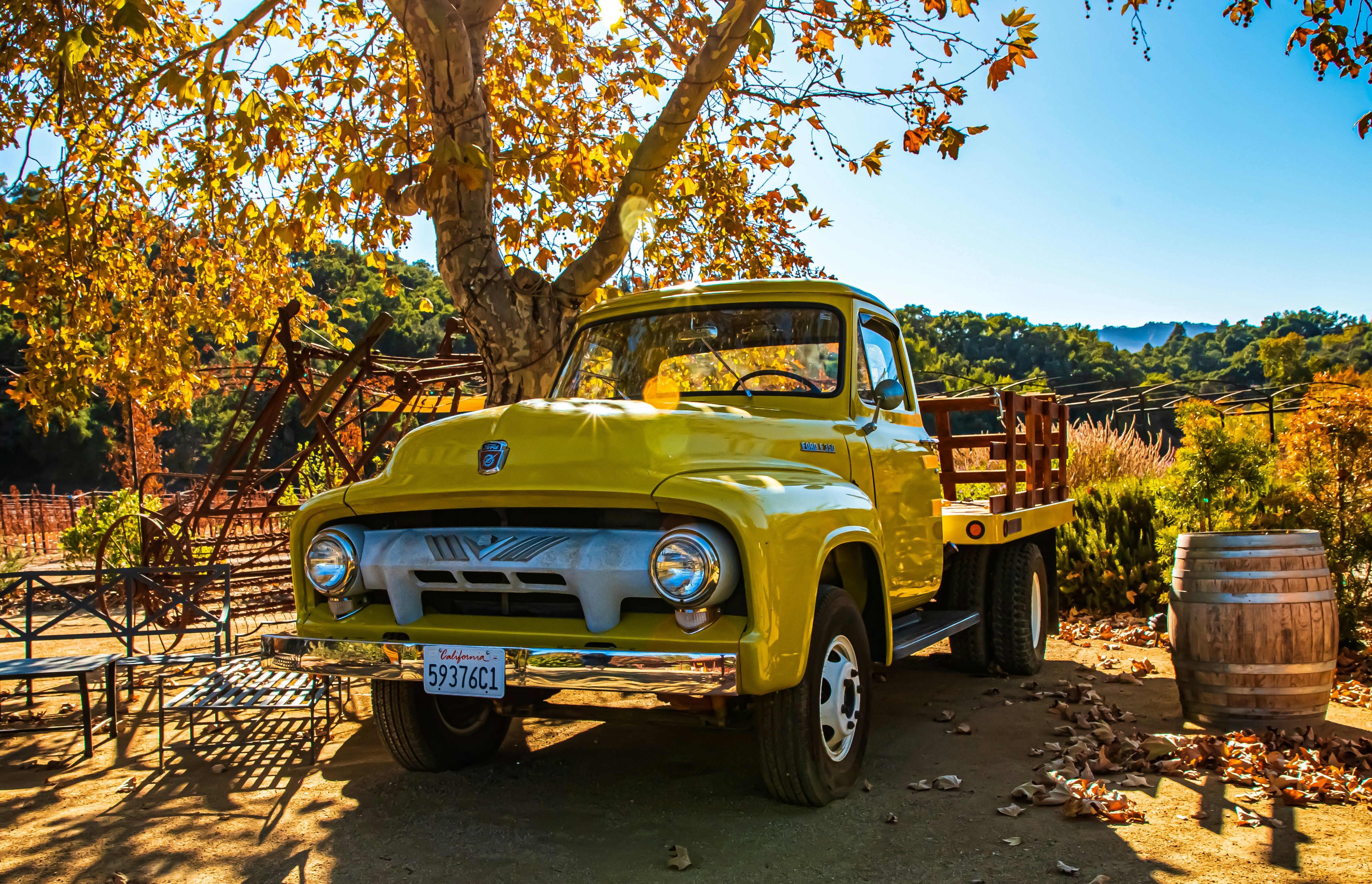 blue and yellow vintage car parked beside brown tree during daytime