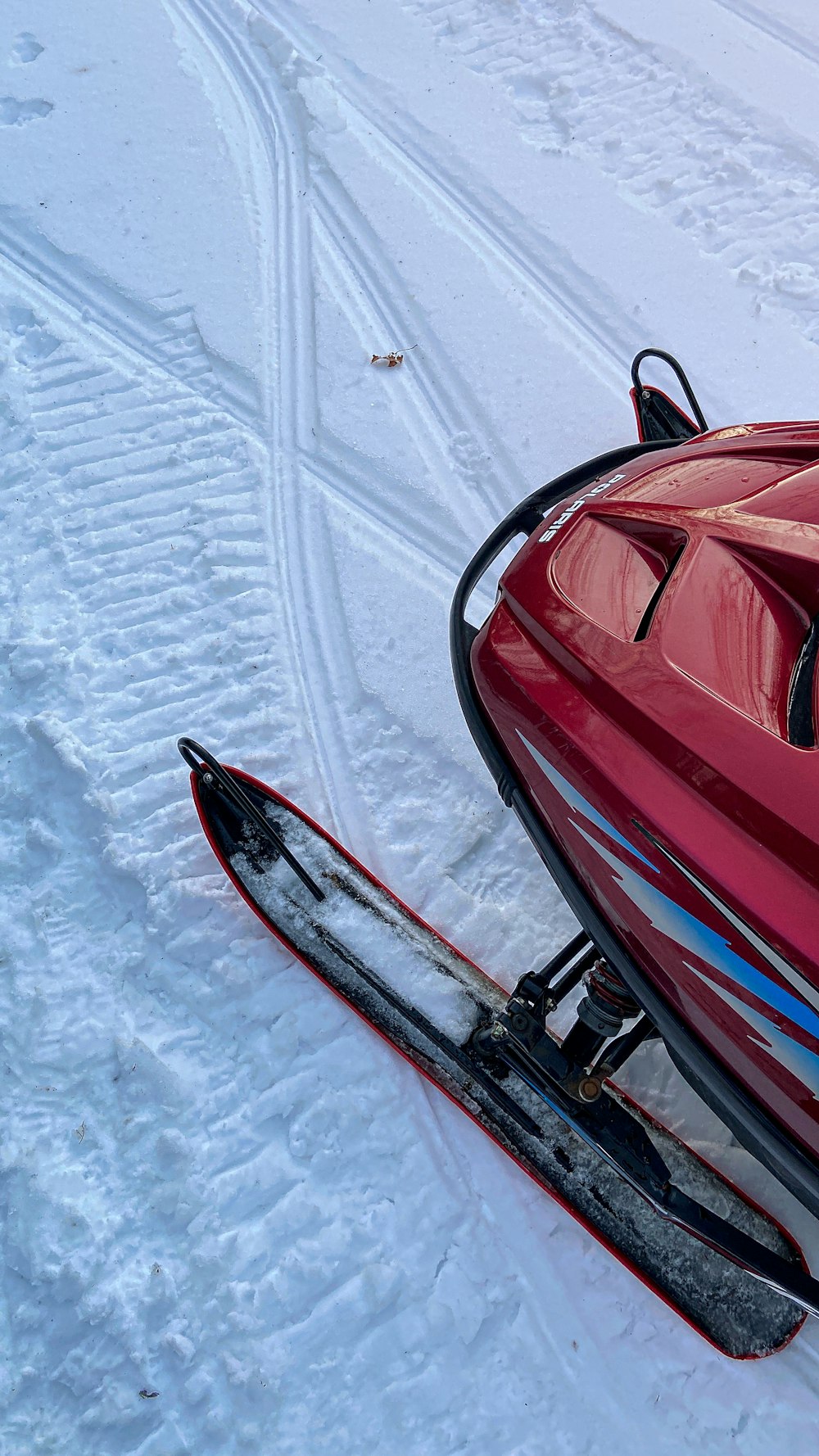 red and black snow sled on snow covered ground during daytime