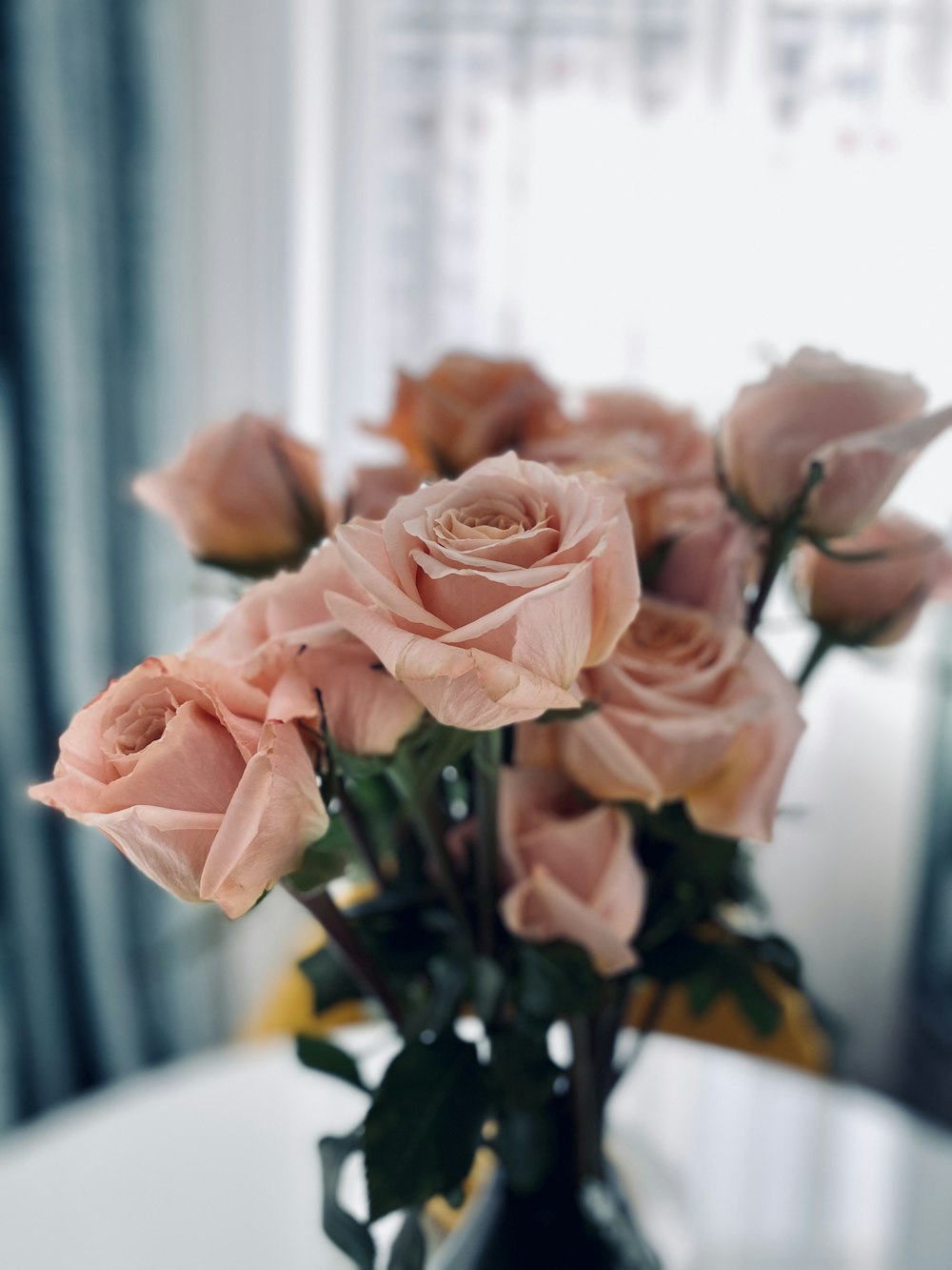 pink roses in clear glass vase