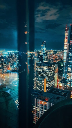 city skyline during night time