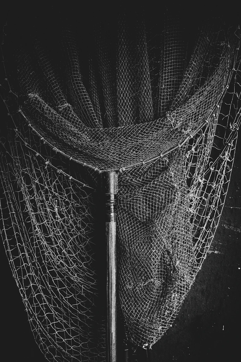 Wasp close up near structural eave