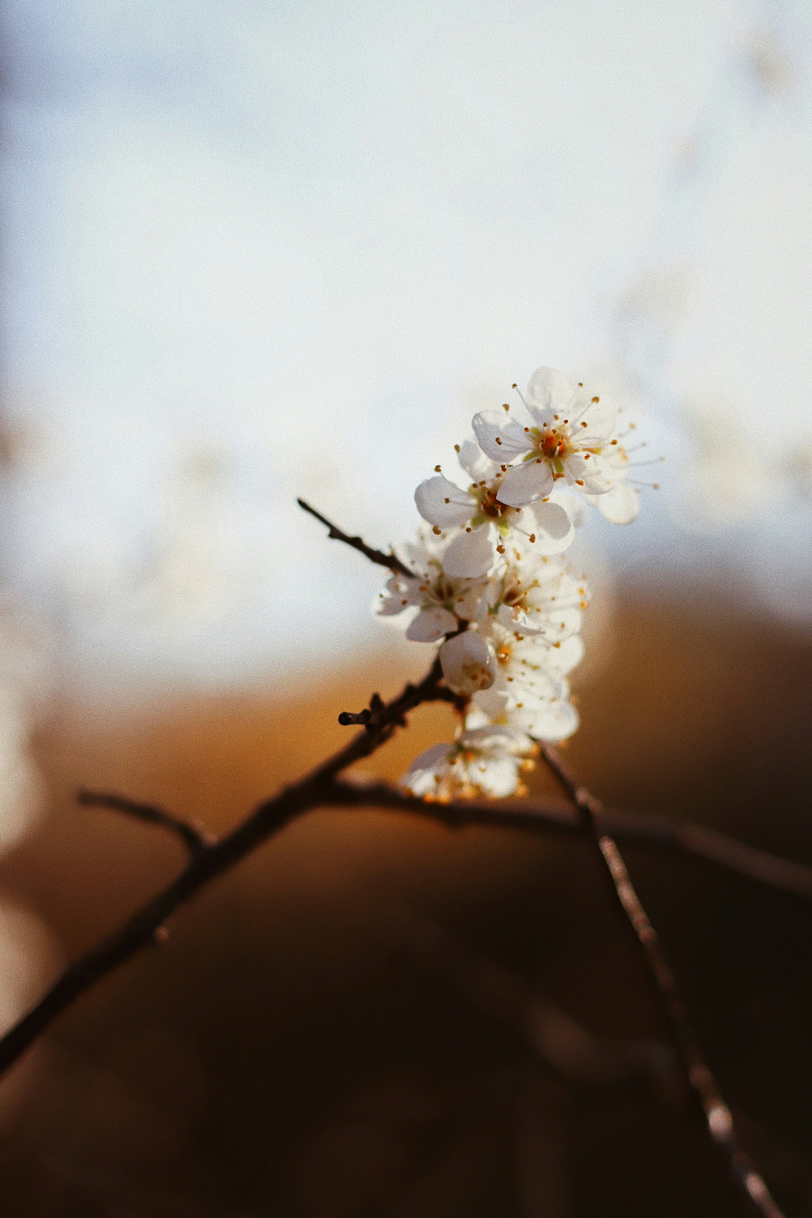 Photo by nesslovetim