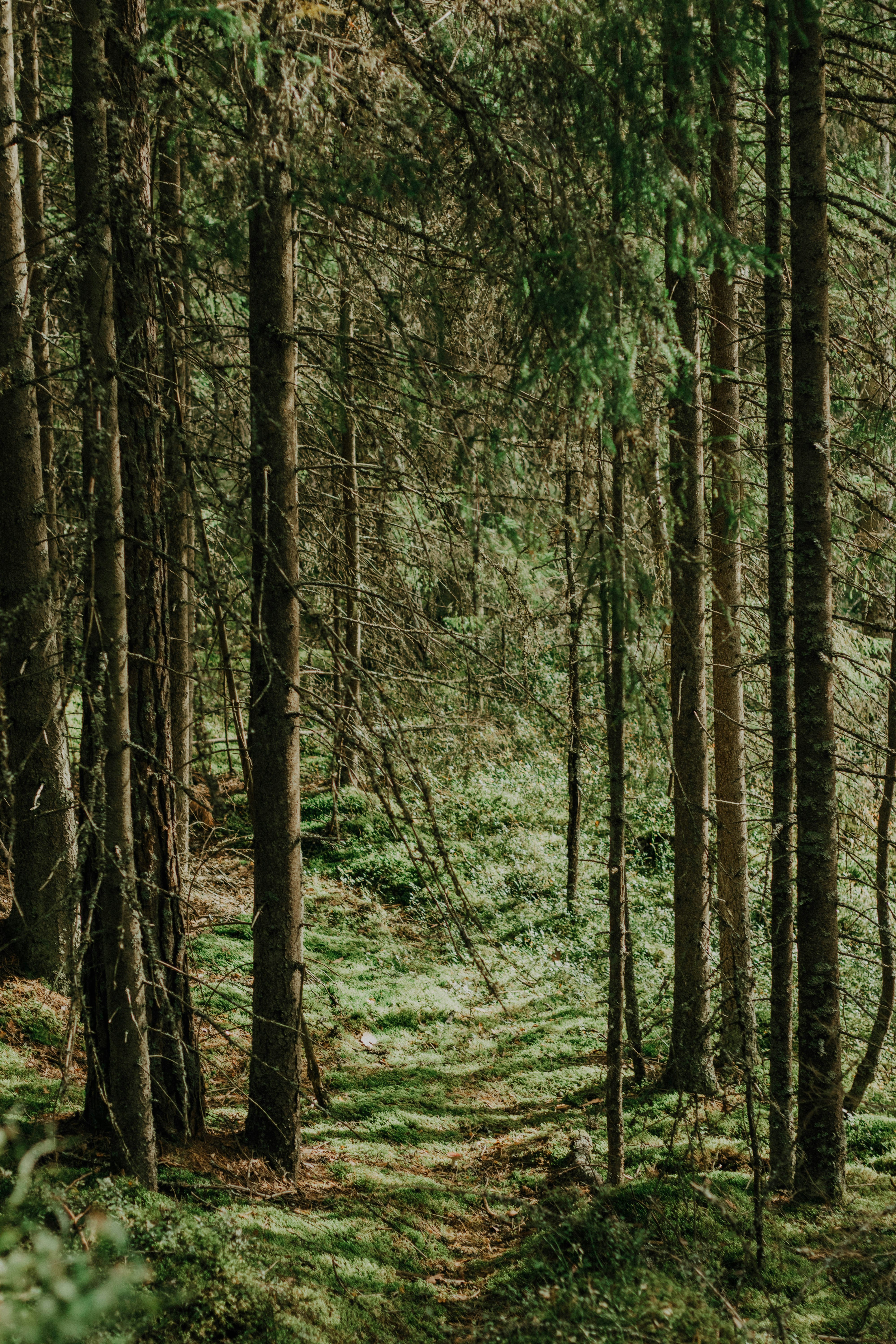 Photo by claralilleyphotography