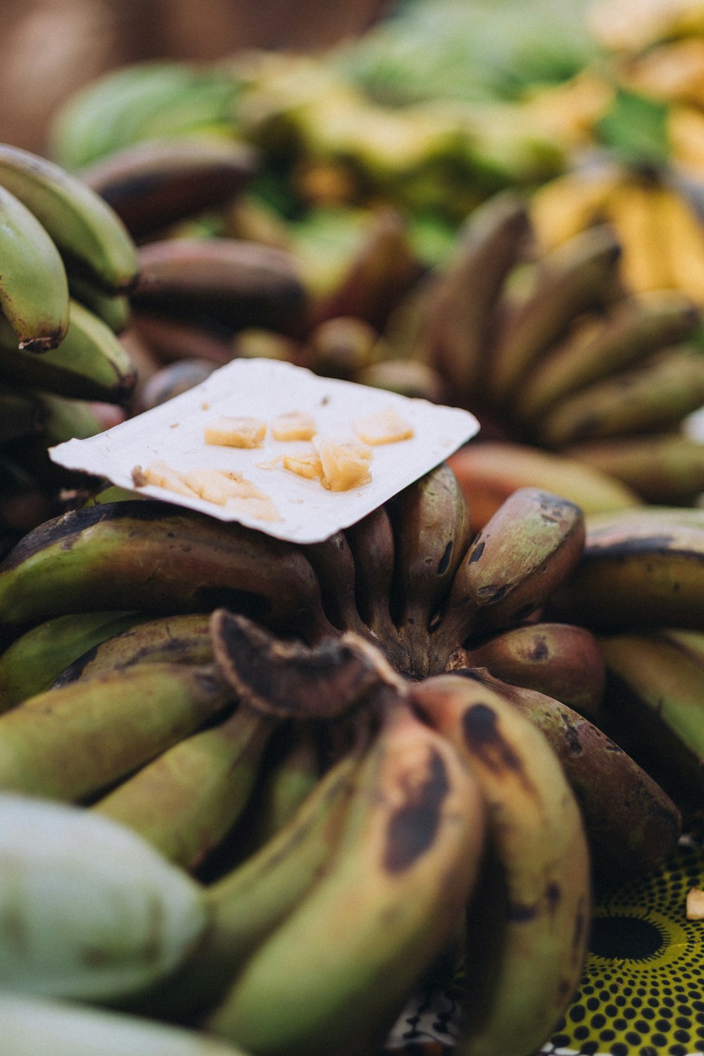 white square paper on green banana fruits