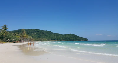 A happy family enjoying a sunny beach resort with palm trees and clear blue water.