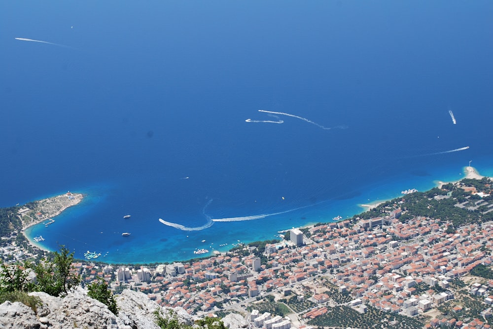 aerial view of city buildings near body of water during daytime