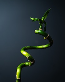 green spiral light on black background