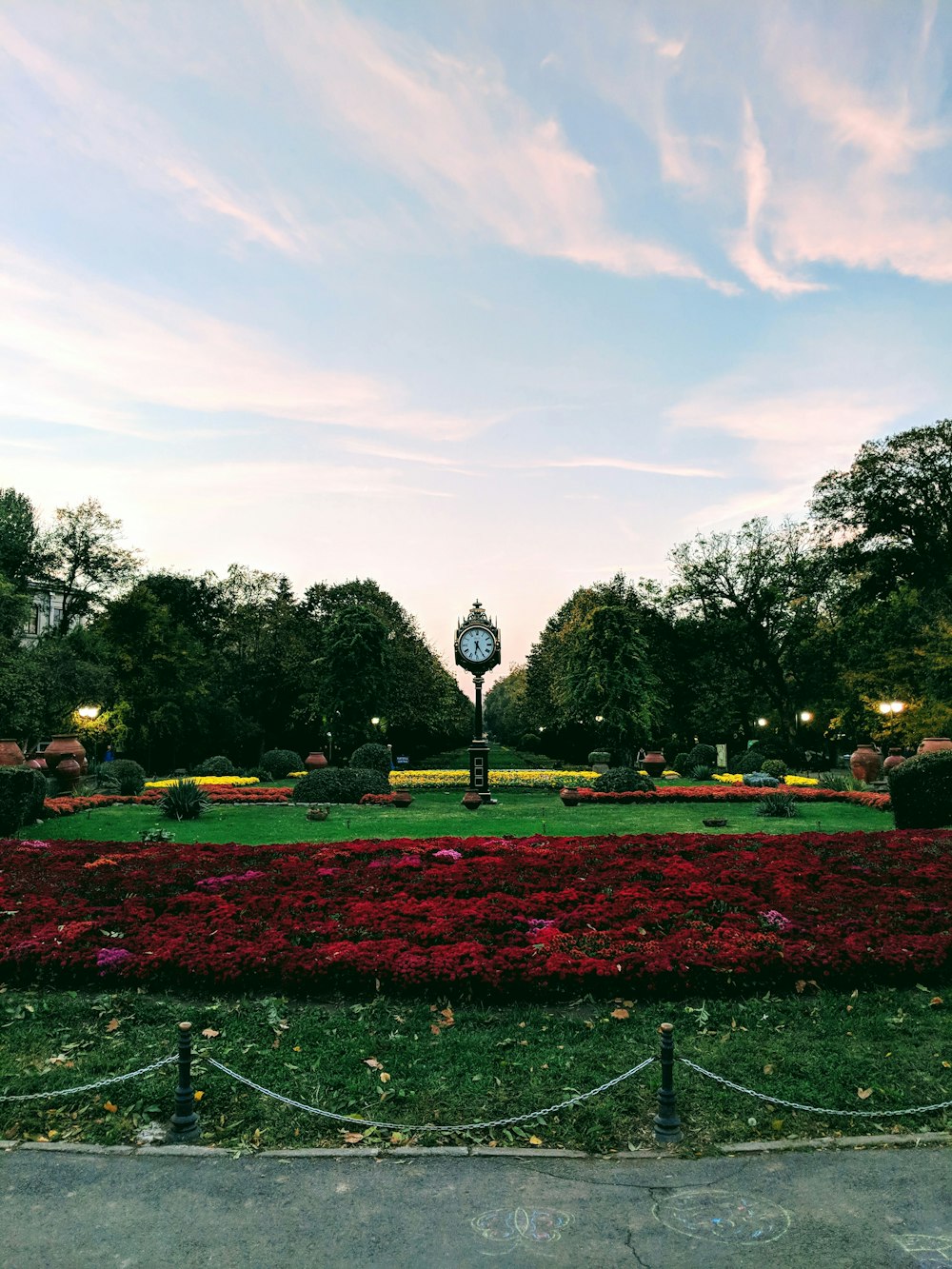 grüne Bäume und rote Blumen unter weißen Wolken und blauem Himmel tagsüber