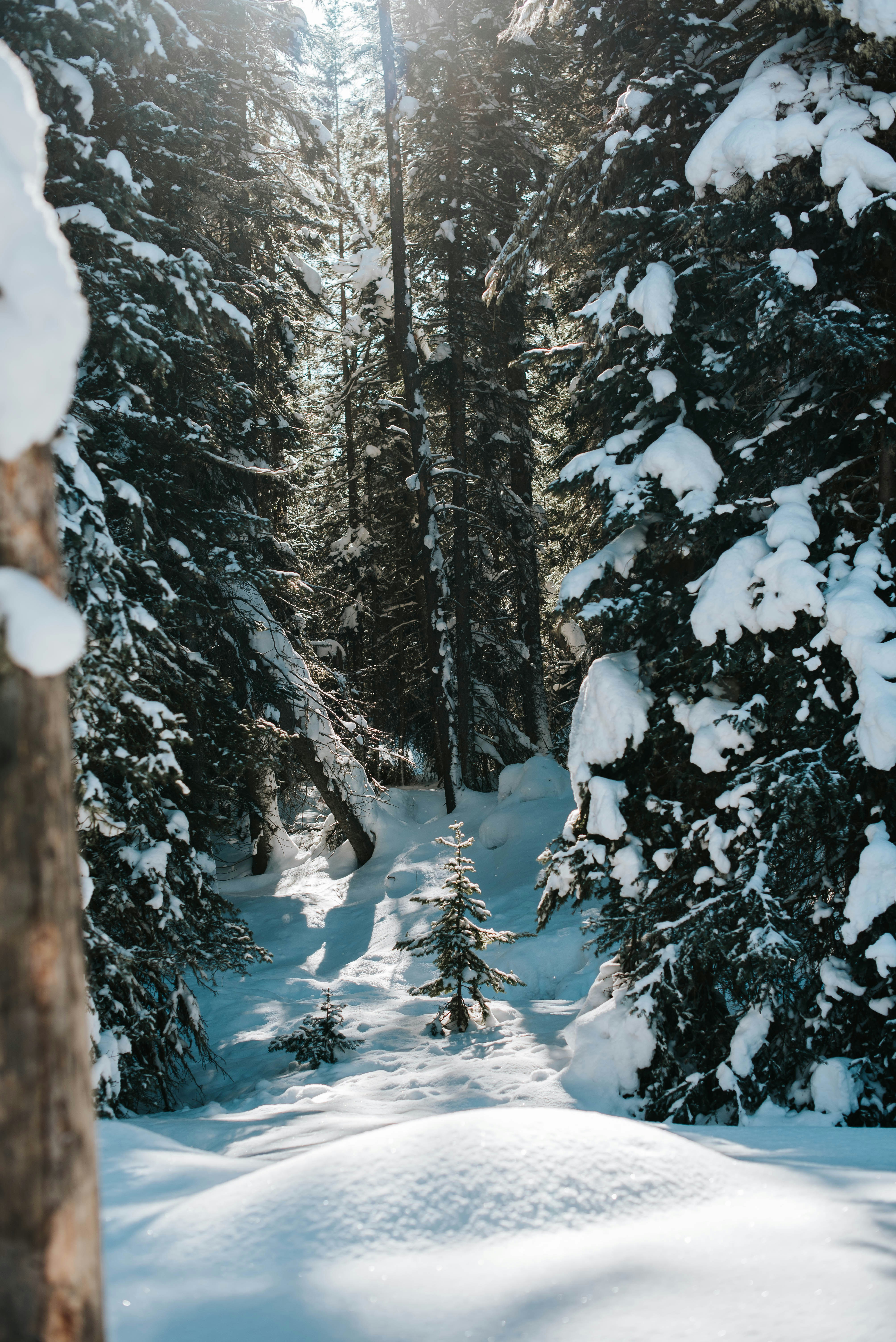 Photo by octoberroses