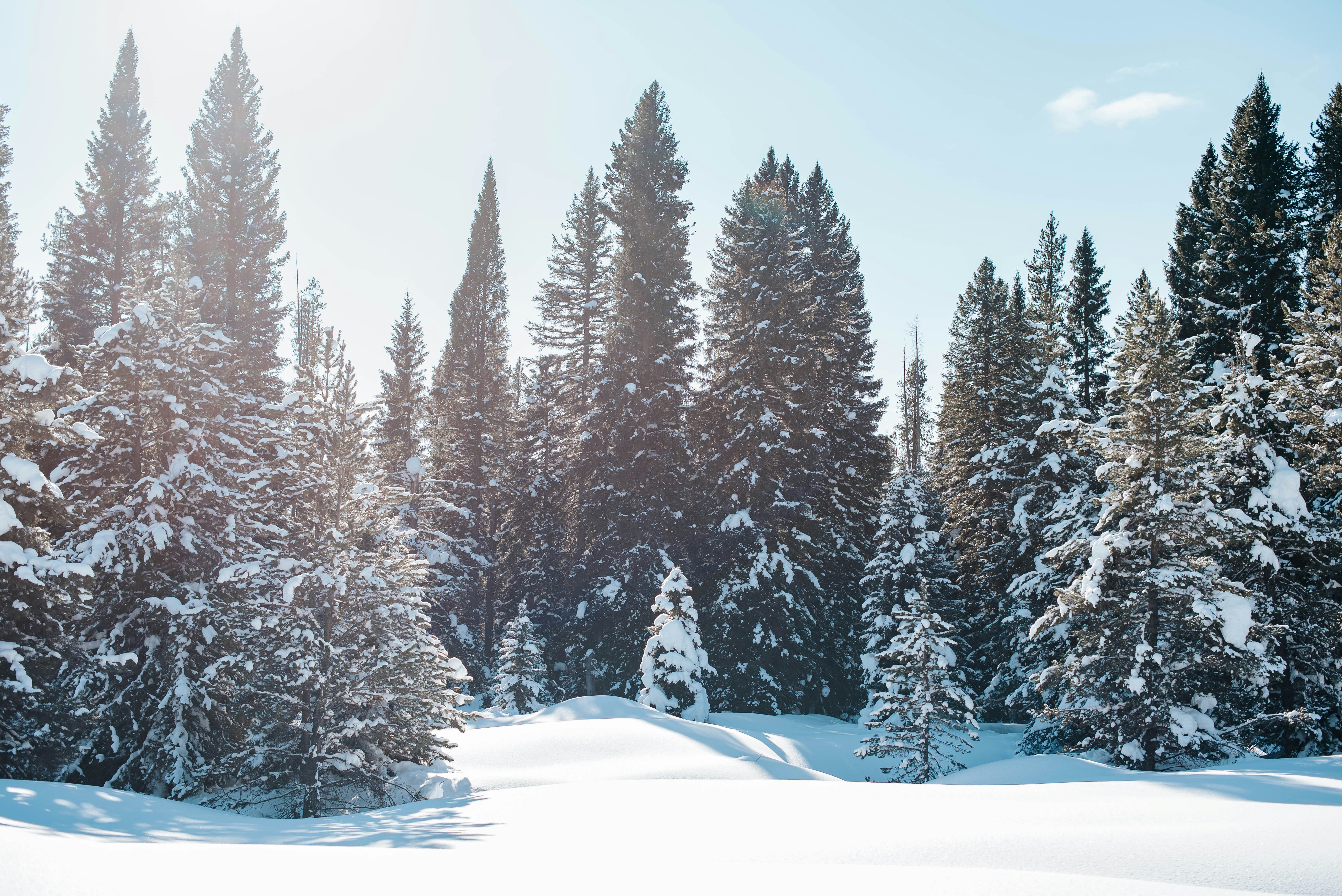 Photo by octoberroses