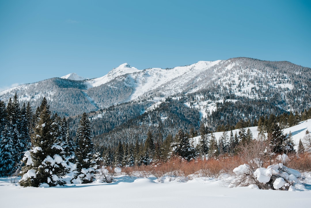 snow covered mountain during daytime