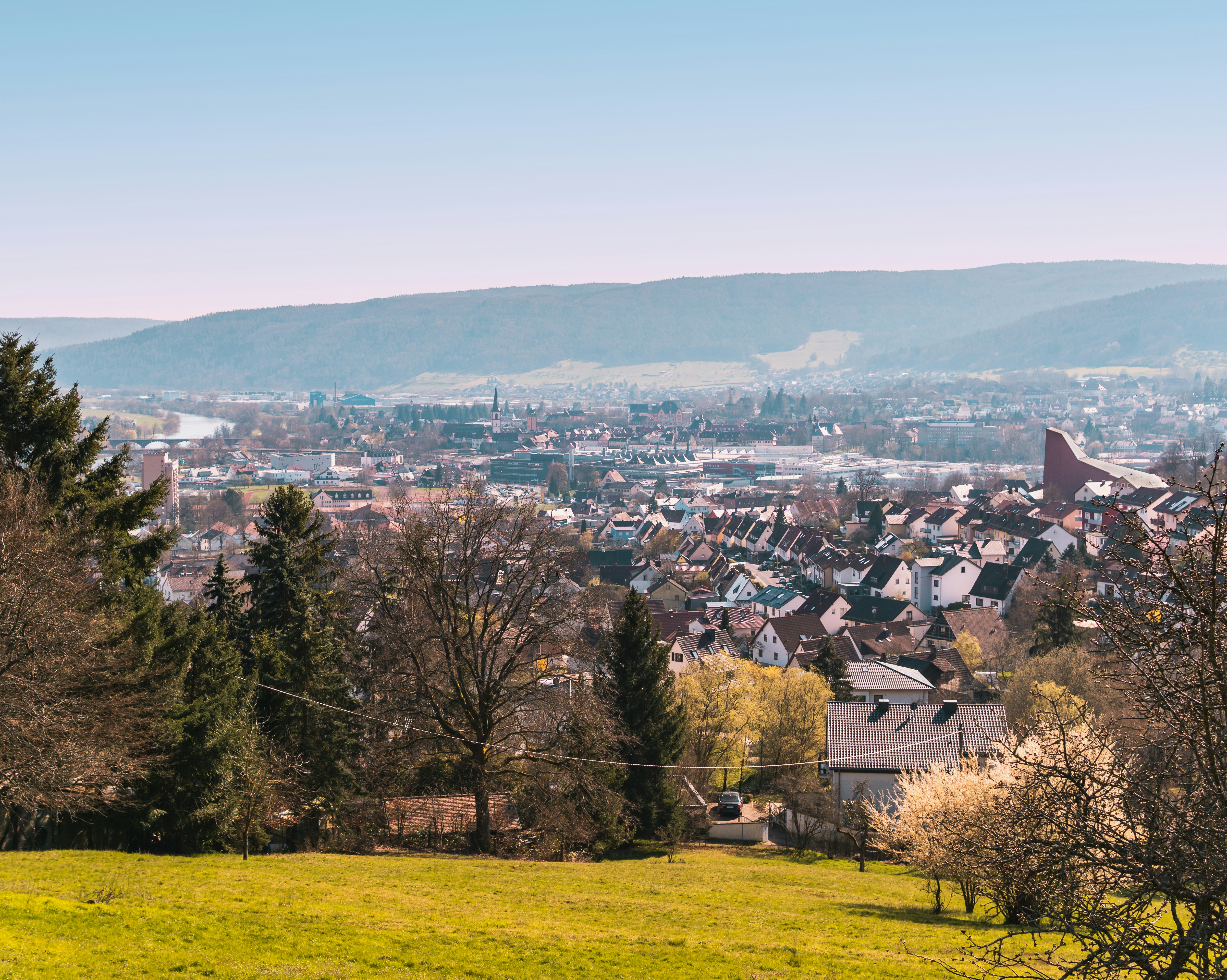 green trees near houses during daytime