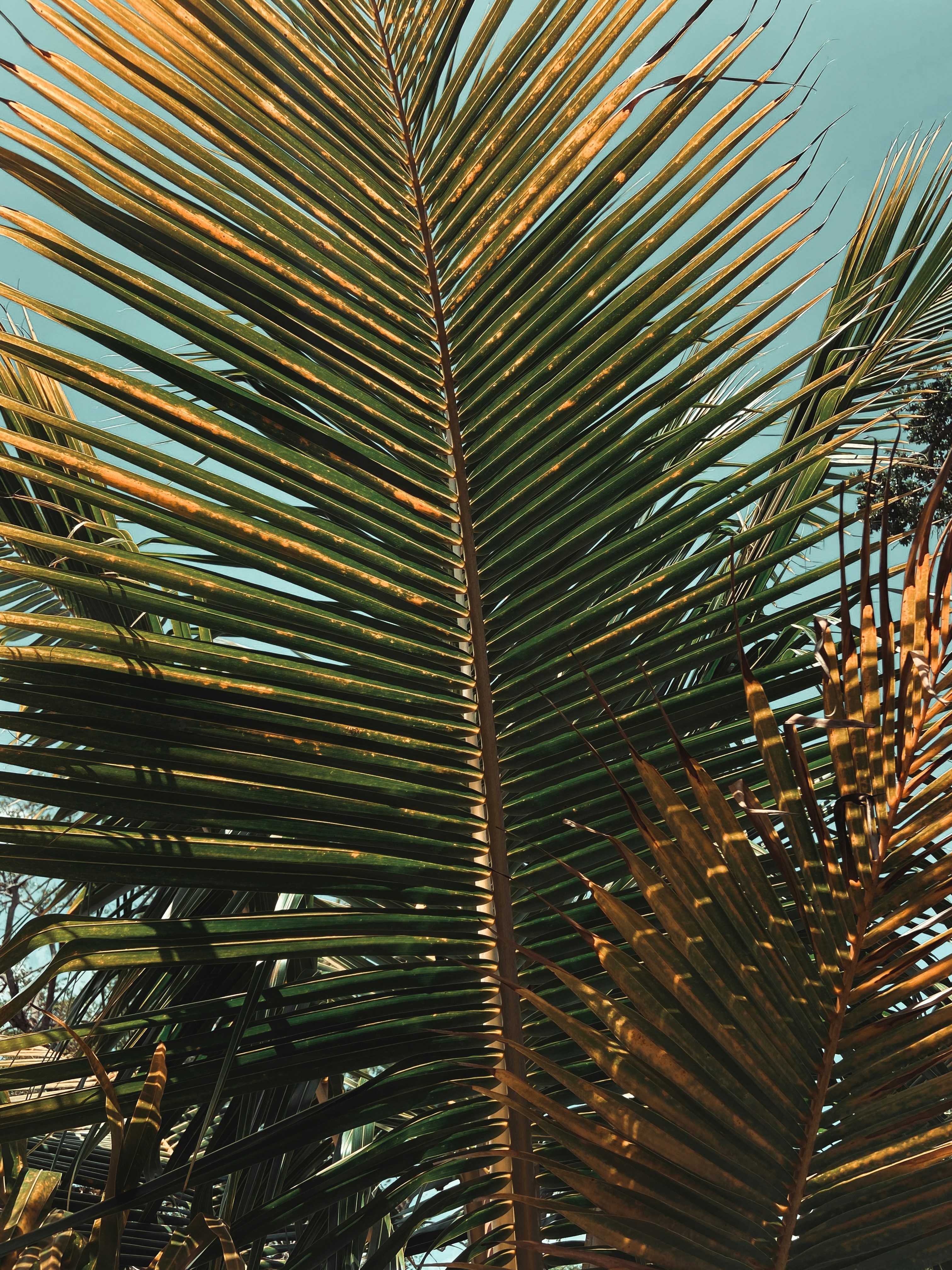 Photo by chrisseemore