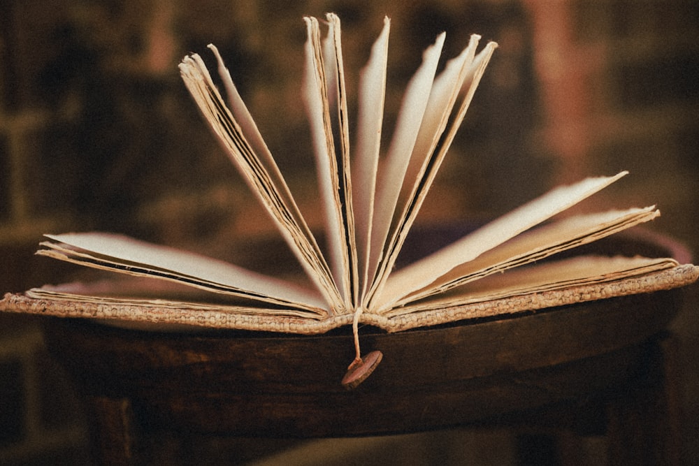 white book on brown wooden table