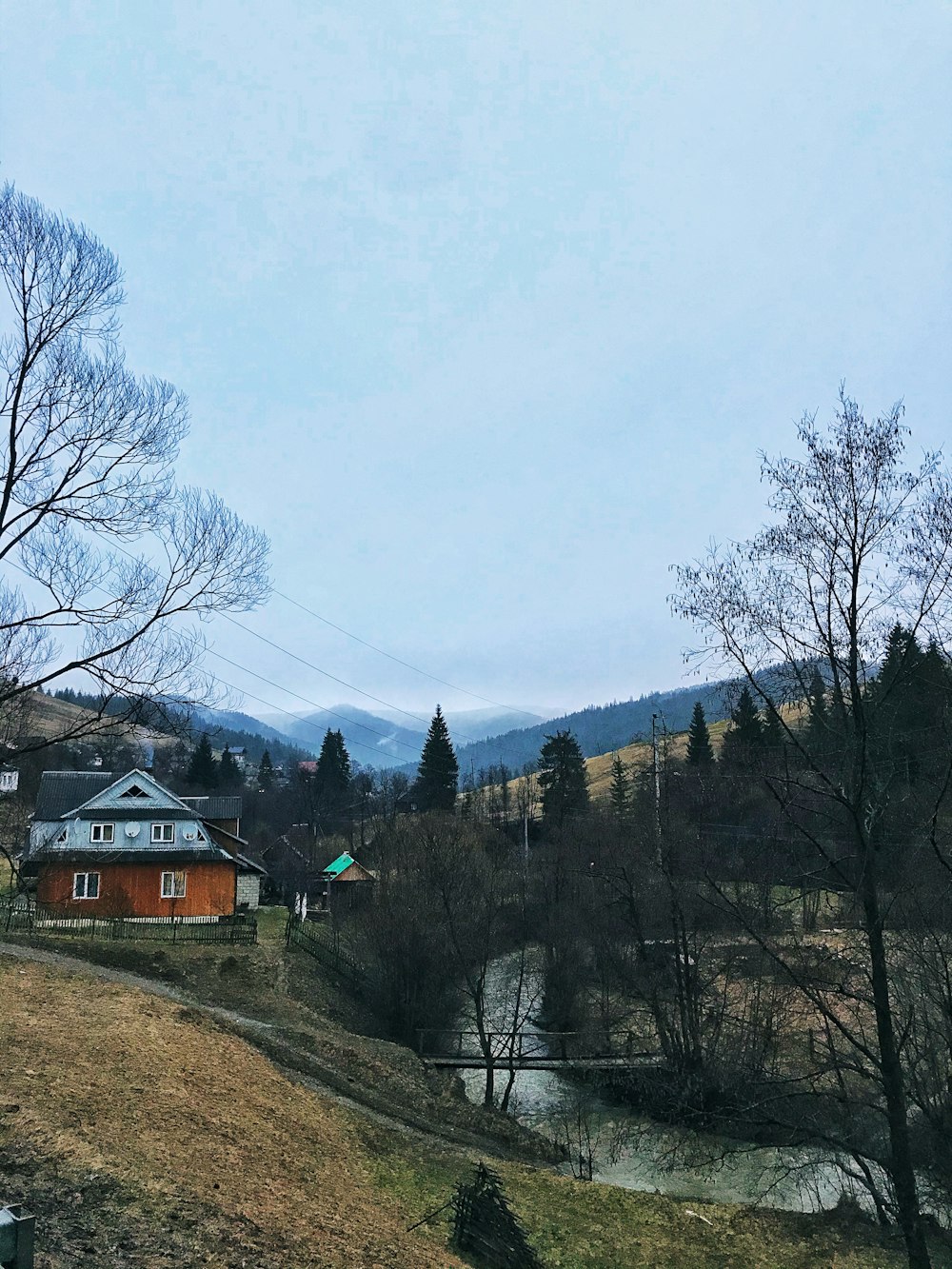 brown house near bare trees under white sky during daytime