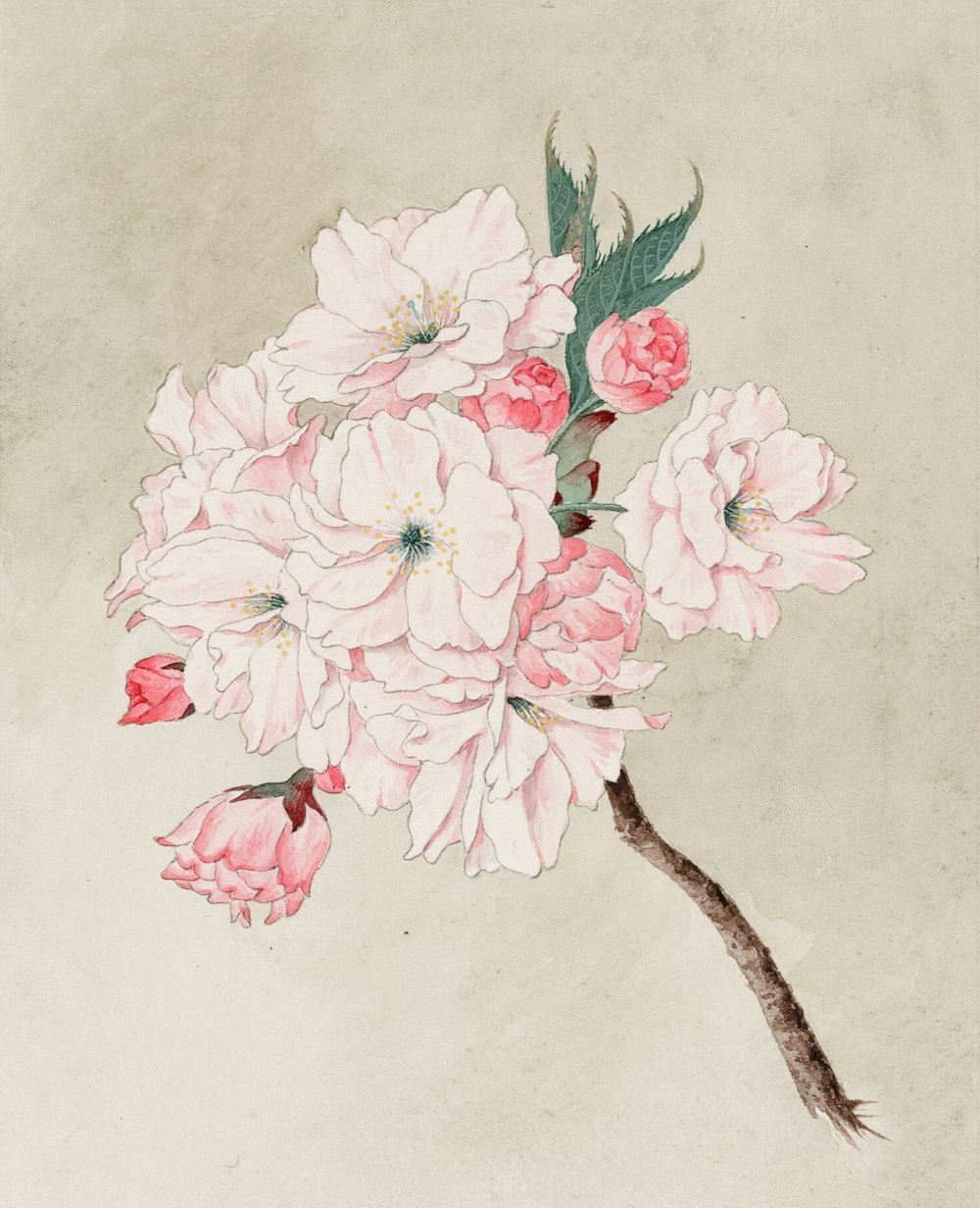 Watercolor of fukurokuju (god of longevity) cherry blossoms.